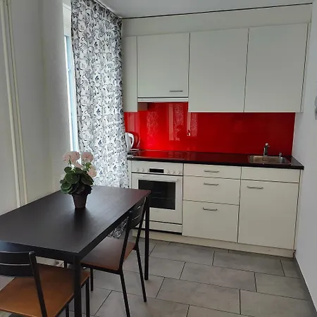 Apartment Buchental , Ruhig Und Zentral In St Gallen St. Gallen