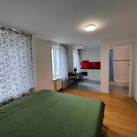 아파트 Buchental , Ruhig Und Zentral In St Gallen *