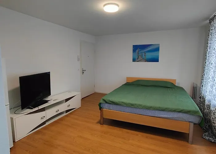 Appartement Buchental , Ruhig Und Zentral In St Gallen *