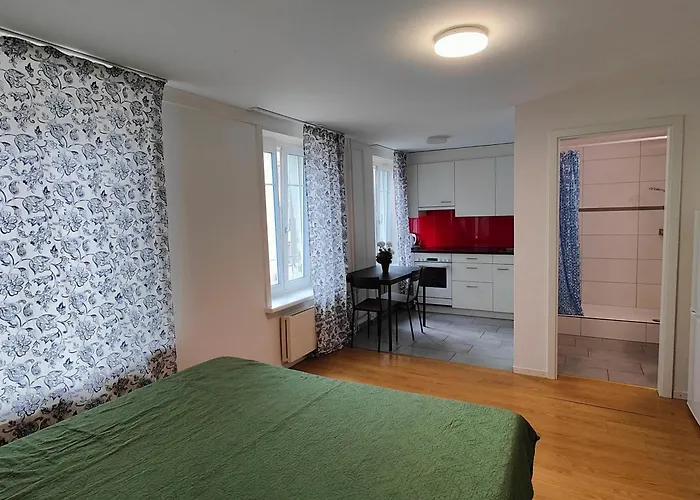 Appartement Buchental , Ruhig Und Zentral In St Gallen *