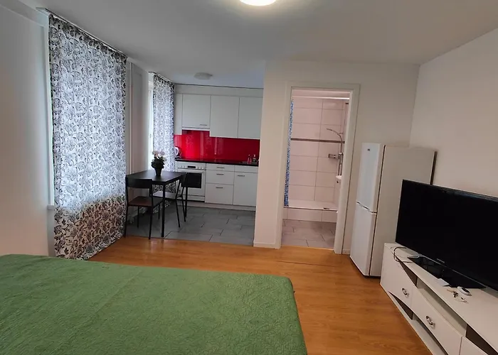 Buchental , Ruhig Und Zentral In St Gallen Appartement *