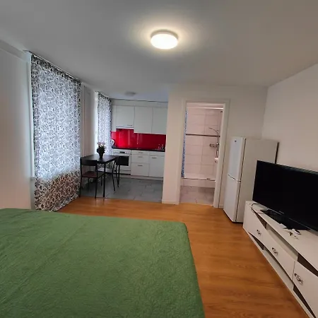 Buchental , Ruhig Und Zentral In St Gallen Apartament *
